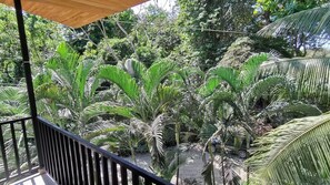 Comfort Apartment | Balcony - Riverside Apartments (Cóbano)