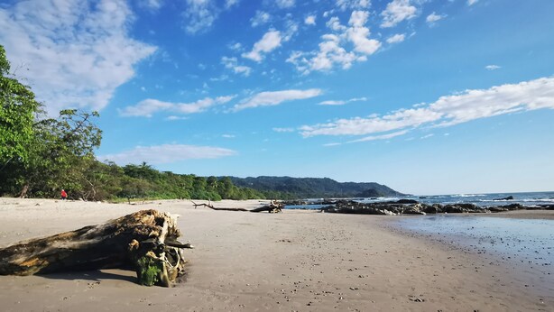 A beach with a large tree trunk in the foreground, a sandy shore, and a rocky outcrop in the distance.