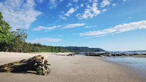 A beach with a large tree trunk in the foreground, a sandy shore, and a rocky outcrop in the distance.
