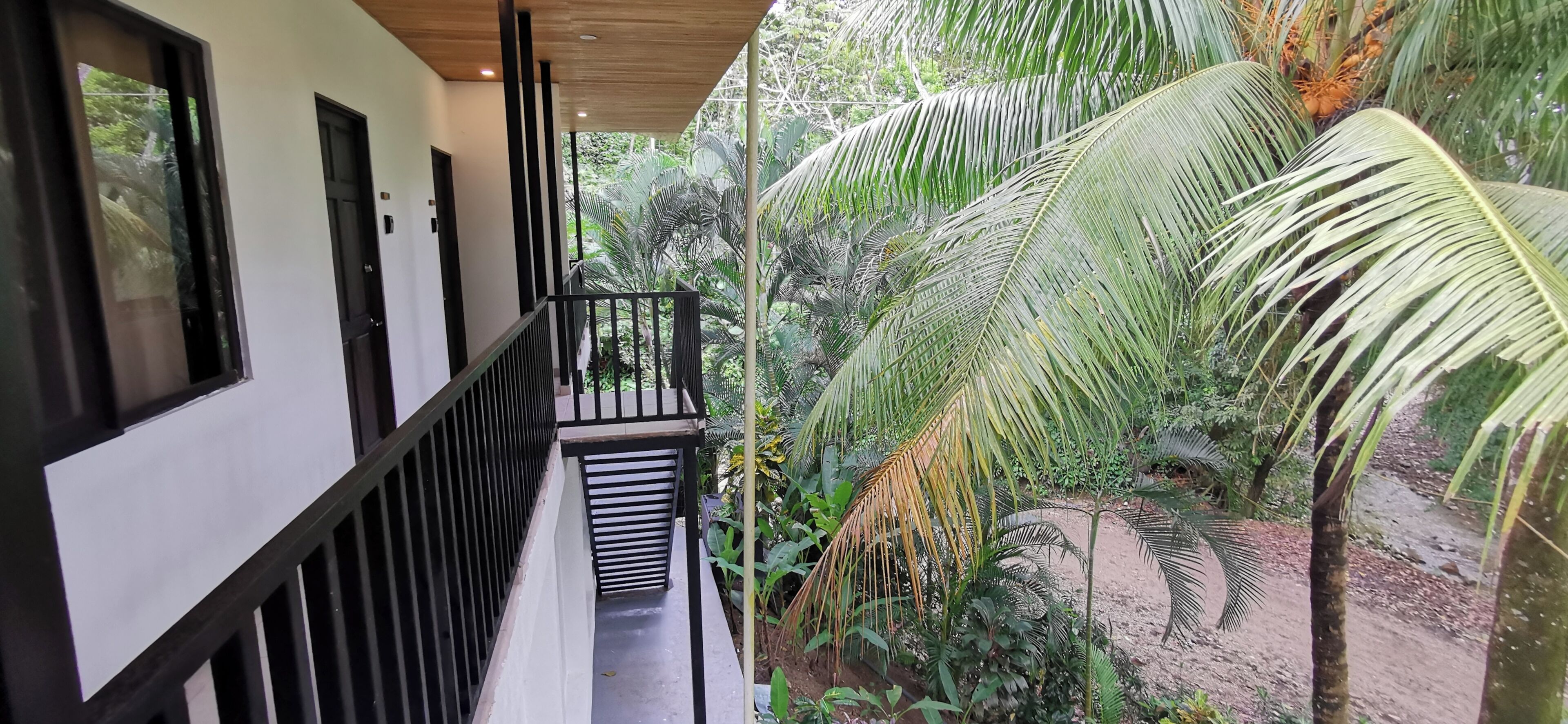 A balcony with a view of dense tropical foliage, including palm trees and other greenery.