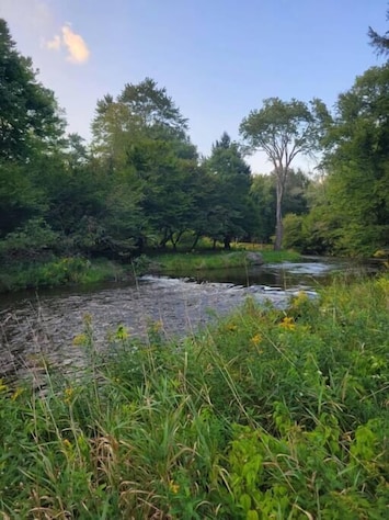 Mongaup River Branch