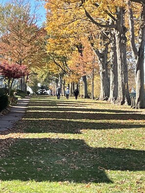 Property grounds - Lake Erie, small town on a Great Lake! Private community, beautiful new cottage! (Vermilion)