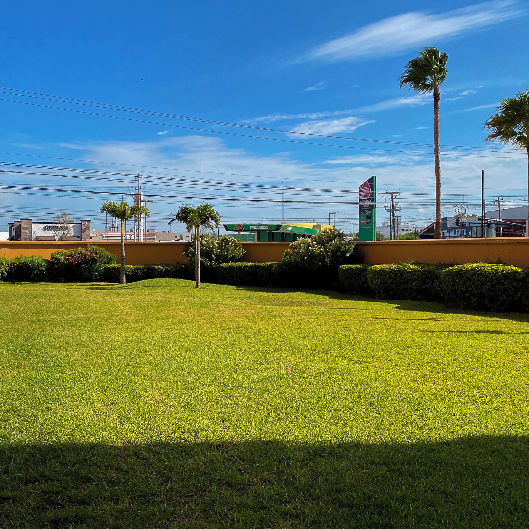 A well-maintained grassy area with a green building in the background, likely a commercial property with a sign for a bank.