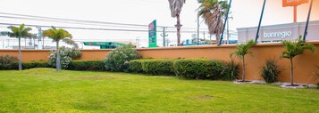 Un área ajardinada con césped, palmeras y seto.