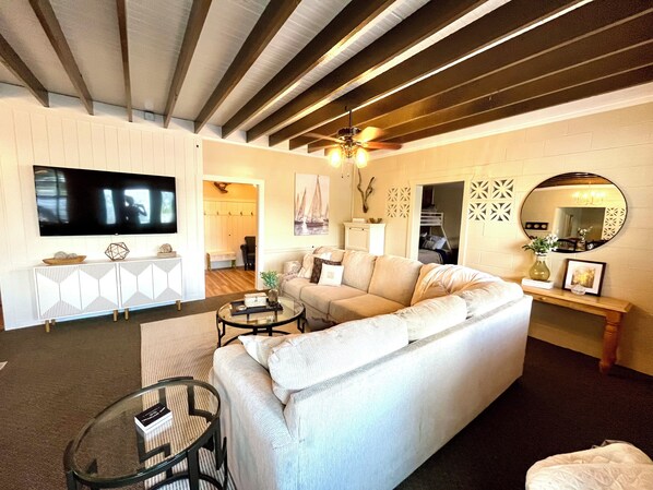 Smart TV, fireplace, books