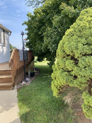 Cozy Farmhouse Retreat, Climb lighthouse, Acres to explore, Dogs ok, Amenities!