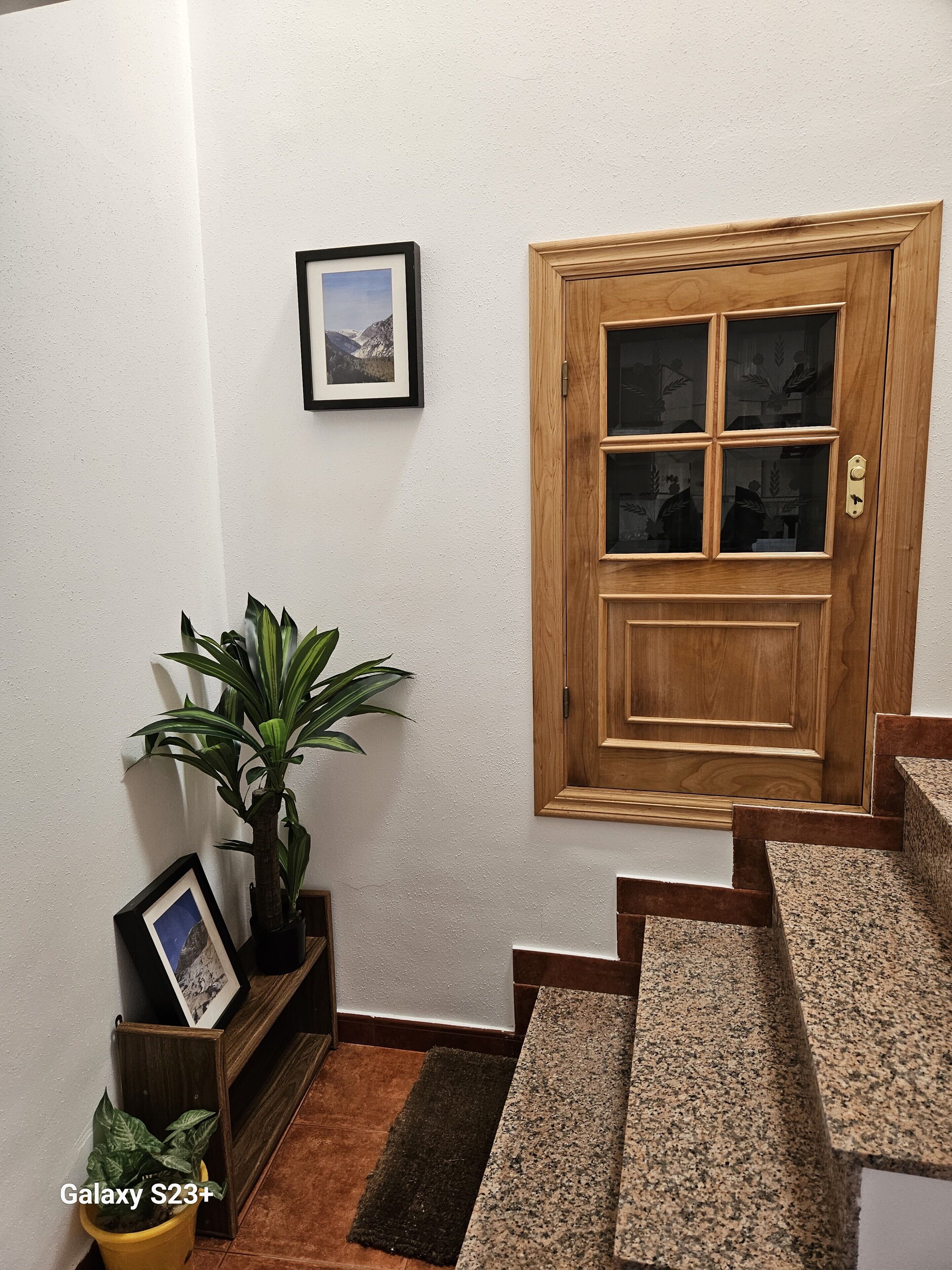 Una escalera que lleva a una puerta de madera con paneles de vidrio, un cuadro en la pared y plantas en macetas.