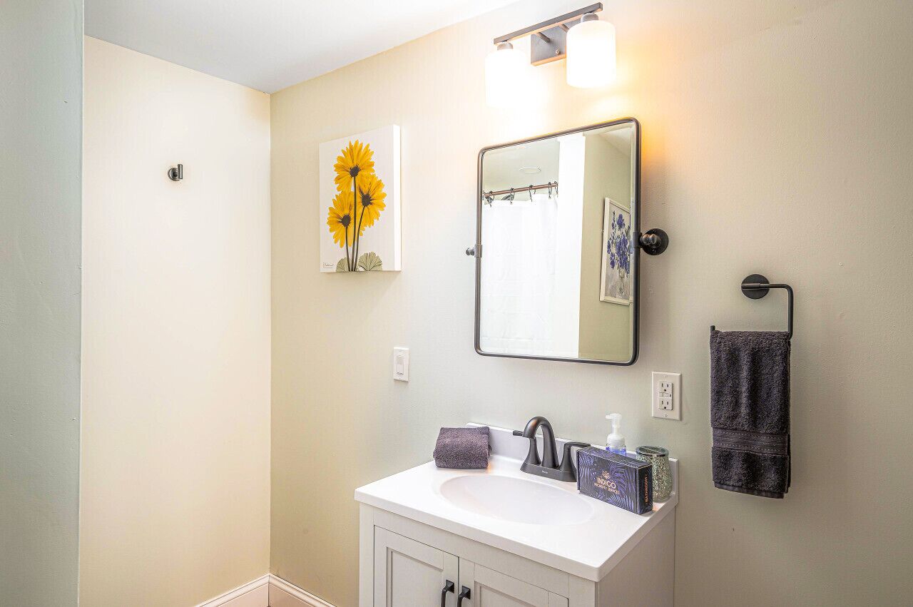 A bathroom with a white sink, a mirror, a towel rack, and a framed picture of sunflowers on the wall.