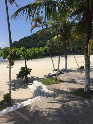 Una playa con palmeras y un paseo marítimo pavimentado.
