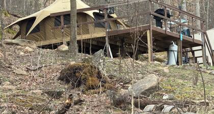 Private Yurt nestled in the heart of the country. Relaxation awaits you!