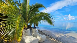Ein Strand mit einer Palme und zwei beigen Sitzsäcken mit Logos.