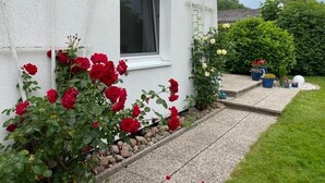 A white house with a window, a garden with red and yellow roses, and a paved pathway.