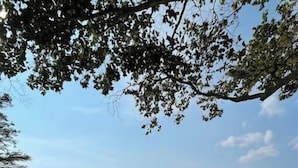 海滩