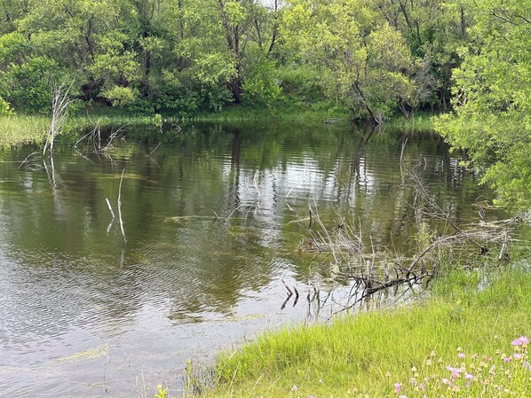A calm pond surrounded by lush greenery and trees. - Quiet ranch retreat full of rustic vintage charm! Located off I-40/Old Rt 66 (Sayre)