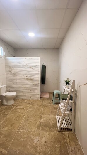 Secadora de cabello, toallas, papel de baño