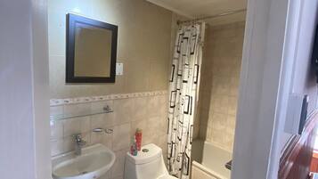 Superior Suite, 1 Queen Bed, Ensuite | Bathroom | Shower, towels, soap, shampoo