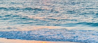 The Cottage by Anna Maria Island