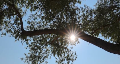 Traverse City, Michigan - Blue Heron Condo - Walk to the beach and Downtown