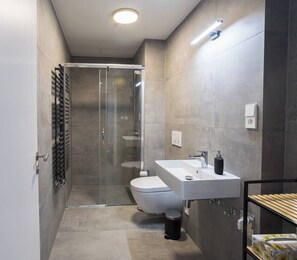 Secador de cabelo, toalhas de banho, sabonete, shampoo