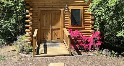 Tiny House / Log Cabin in beautiful wooded urban setting
