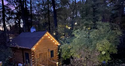 Tiny House / Log Cabin in beautiful wooded urban setting