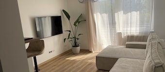 1 Bedroom Apartment in Wolfsburg