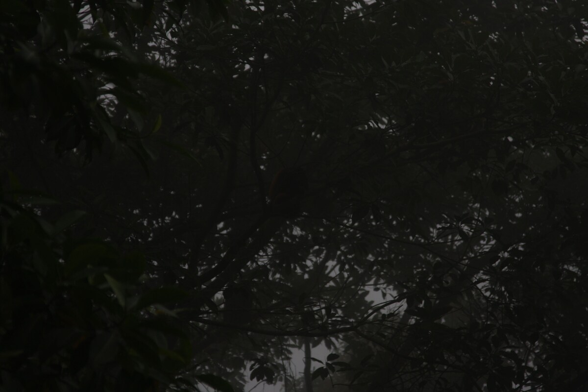 Værtens profilbillede