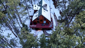 A cabin with a steeply pitched roof, surrounded by dense pine trees.