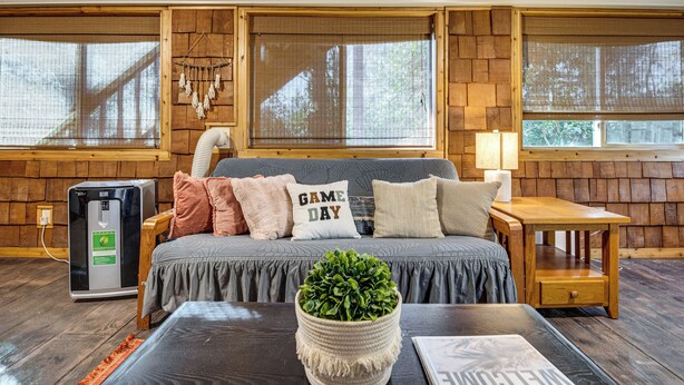 Una habitación acogedora con una cama, una mesita, una planta y un dispensador de agua.