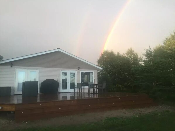 テラス / パティオ