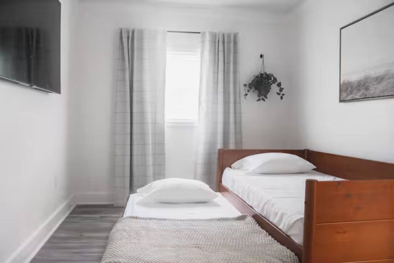 A bedroom with a single bed, a bedside table, a hanging plant, and a window with curtains.