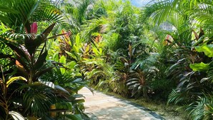Unclassified image, 4 of 38, button - Adora Tulum (Tulum)
