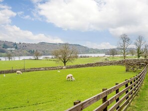 Property grounds - Shepherds Cottage (Ambleside)