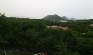 الإطلالة من المنشأة