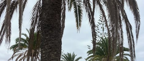حمام سباحة