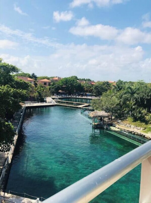 Pool - Dolphin Condo Puerto Aventuras, vista amazing view (Puerto Aventuras)