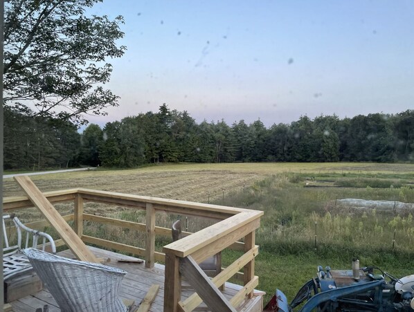 Property grounds - Nature Abounding- Central to 4 beautiful NH lakes!! (Andover)