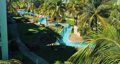 AQUA DREAM AT AQUÁTIKA
