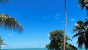 A beach with palm trees and a clear blue sky.