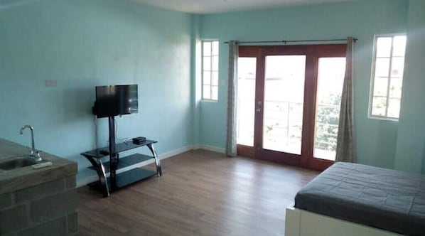 Une chambre avec un lit, une télévision, un lavabo et un balcon avec une porte.