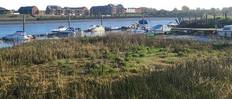 A marina with boats docked, a grassy foreground, and buildings in the background.