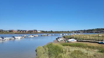 Una marina con barcos amarrados a lo largo de la orilla, un terraplén cubierto de césped y edificios al fondo.