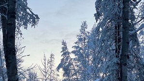 A cabin with a snow-covered roof, surrounded by trees, and a visible staircase leading to the entrance. - Trail House, Denali Brewing, Netflix, Concert, Fire Pit, Family, Race, festival  (Talkeetna)