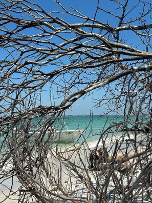 Beach - Modern Farmhouse, Families Welcome! Private Backyard! (Cape Coral)