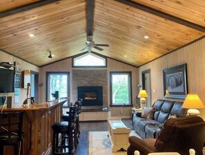 TV, fireplace, books