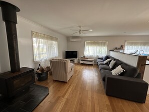 電視、DVD 播放機