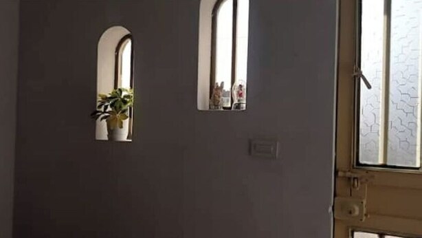 Une pièce avec un mur de couleur sombre, une fenêtre ornée d’une plante et une porte dotée d’un panneau de verre.