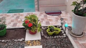 Un petit espace jardin aménagé avec des plantes en pot, une pierre servant de marchepied et un sentier.