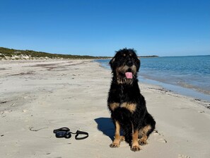 Beach nearby - Sleeps 14 - 3 minute walk to beach, 5 minute drive to "The Dunes" Golf Course  (Moonta Bay)