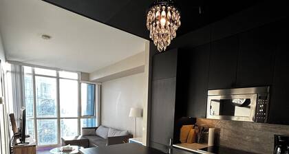 Beautiful Apartment in the Heart of Toronto